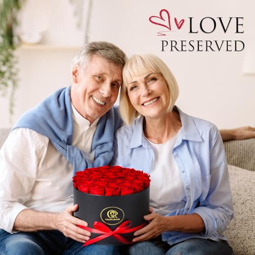 27 Preserved Roses in a Box - Long-Lasting Everlasting Flower Gift