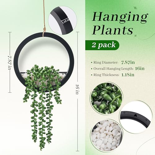 2-Pack Artificial Hanging Succulent Plants in Black Pots, 16-Inch Faux Decor