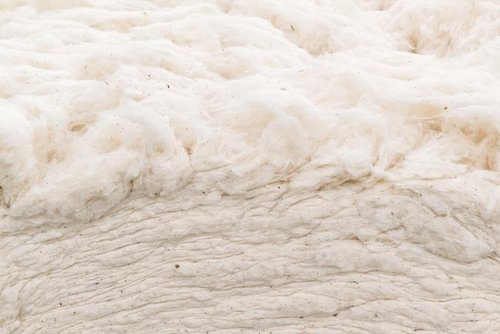 Grown In The USA Raw Cotton Stuffing - Natural, Eco-Friendly Batting | 3 lb Bag