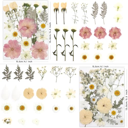 Natural Dried Pressed Flowers with Tweezers for Resin Art & Crafts - 80 Pcs