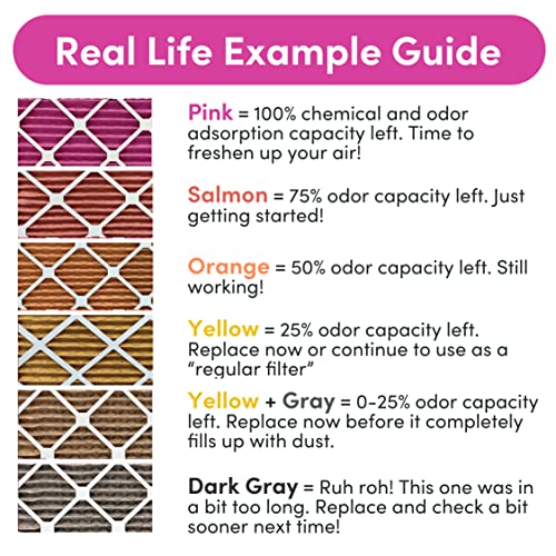 Colorfil 20x20x1 MERV 8 Air Filter 2-Pack for Pet Odor and Dander