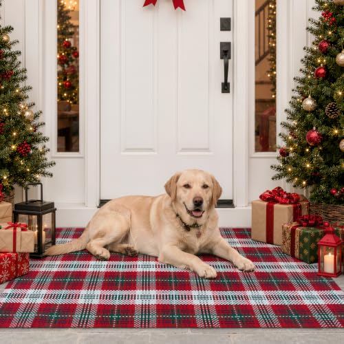 Collive 2x4.3 ft Christmas Red and White Checkered Outdoor Porch Rug