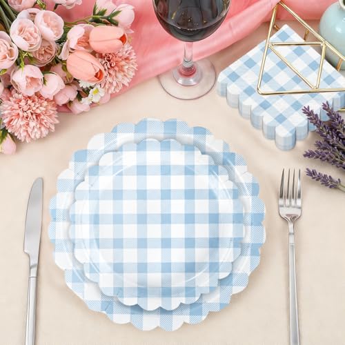 Light Blue Gingham Party Supplies Set for Wedding & Baby Showers - 175 Pieces