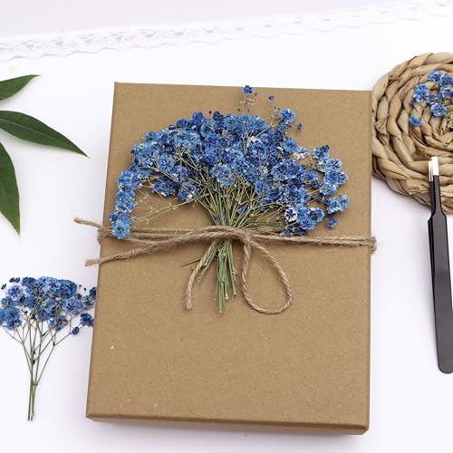 30 PCS Sapphire Blue Dried Pressed Baby's Breath Flowers with Tweezers