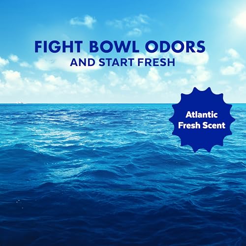 Lysol Toilet Bowl Cleaner Clinging Gel Atlantic Fresh 24 oz - Pack of 2