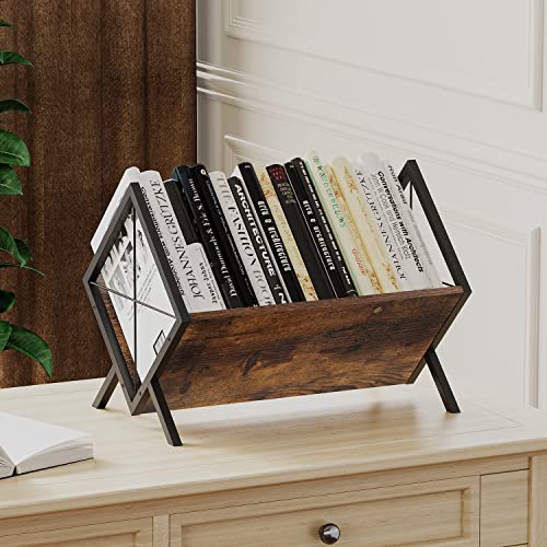 Vinyl Record Storage Rack - Retro Metal & Wood LP Display Organizer