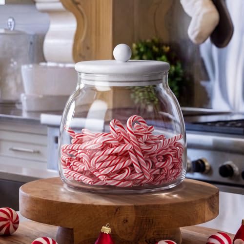 Qinyoung 50 Pcs Candy Cane Christmas Set Glass Jar & Mini Resin Decorations