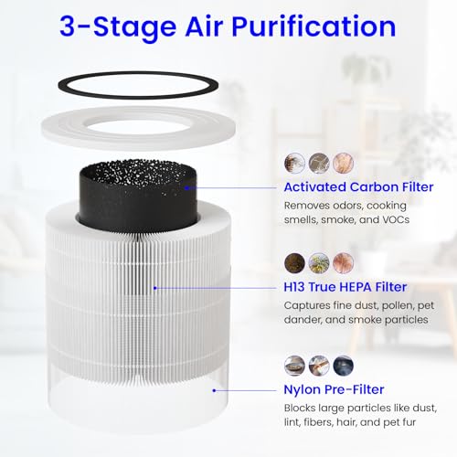 2-Pack Replacement Air Purifier Filter H13 True HEPA & Activated Carbon