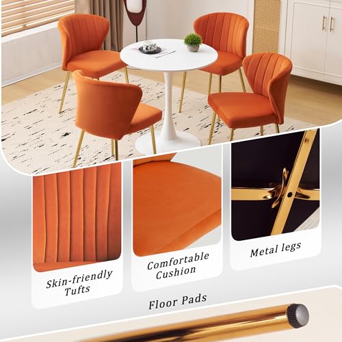 Velvet Dining Chairs Set of 2, Upholstered Vanity Chairs with Gold Metal Legs