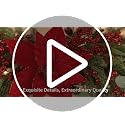 26 Inch Christmas Swag for Front Door with Poinsettias Flower - Red Berry Poinsettia