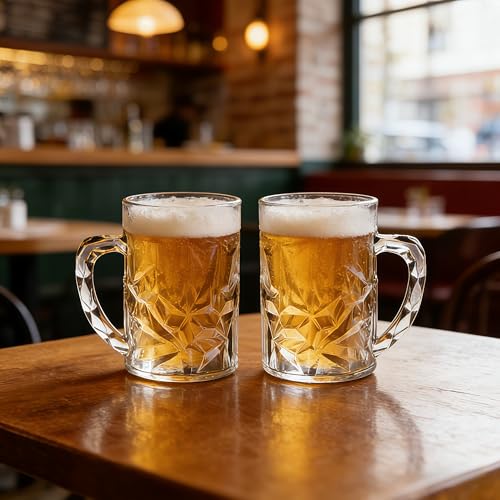 19oz Acrylic Beer Mugs with Handle - Durable Plastic Stein Set of 2