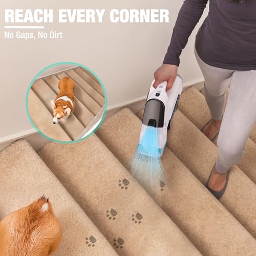 Cordless Handheld Carpet Cleaner, 6.5KPa Portable Spot & Stain Remover