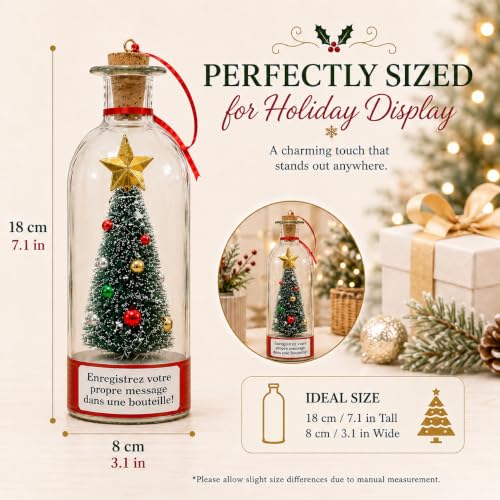 CRILEAL Blue Recordable Christmas Tree Ornament with Snow Scene, 25-Second Voice Message