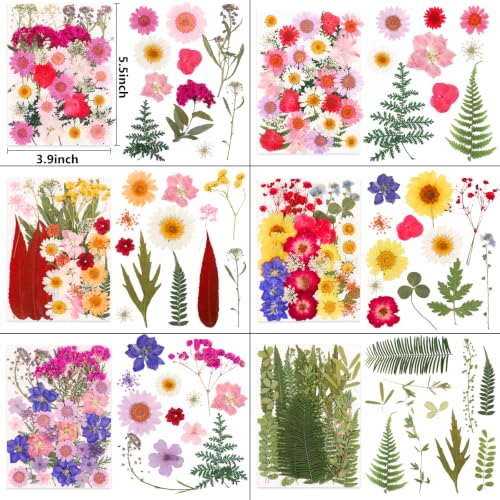420 Pcs Real Dried Pressed Flowers & Leaves for Resin Crafts & DIY