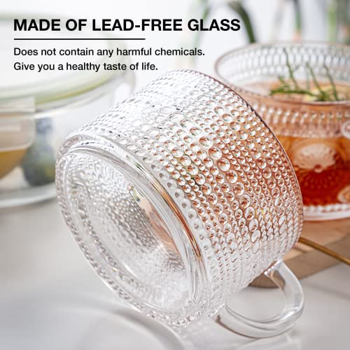 Mfacoy Translucent Vintage Coffee Mug Set of 2, 14 oz Embossed Glass Cups with Handle for Hot & Cold Beverages