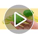 20 Pack Artificial Lemon & Slices Decor - Realistic Faux Fruit Set