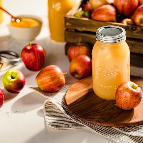 Regular Mouth Mason Jar Lids for Canning & Preserving - 96 Count