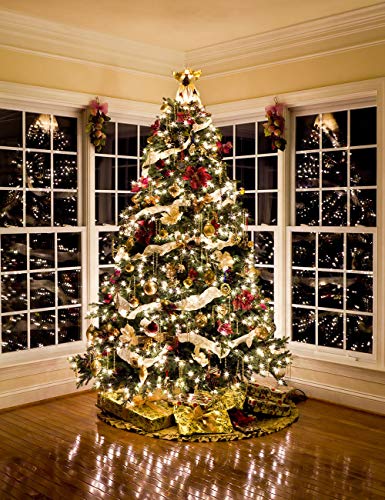 66 ft 200 LED Warm White Fairy String Lights with Remote & USB Power