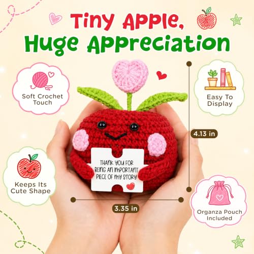 Handmade Crochet Apple Teacher Gift - Emotional Support Desk Decor