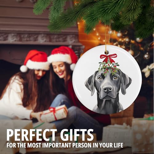 DIENADFX Labrador Mistletoe Ceramic Christmas Ornament – Black Labrador Gift, Double-Sided 3"