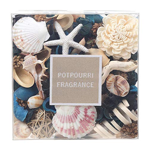 Ocean Scented Seashell Potpourri with Fragrance Oil - Coastal Vase Filler