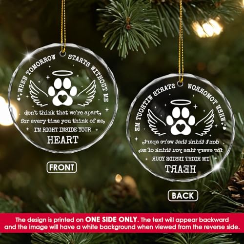 Pet Memorial Plexiglass Ornament 3x3 in | Keepsake Christmas Gift for Dogs & Cats