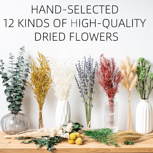 12-Variety Natural Dried Flower DIY Kit, 10-12 Inch Floral Decor