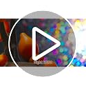 Rainbow Window Privacy Film - UV Protection, Static Cling, 17.5 x 78.7 Inches