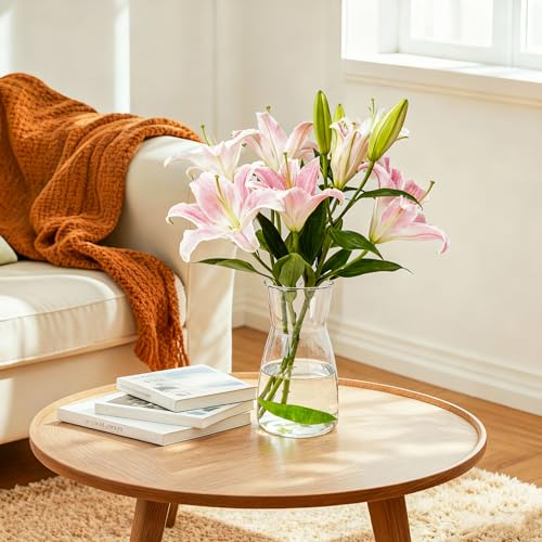 Clear Glass Flower Vase 8 Inch - Modern Minimalist Table Centerpiece