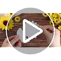 Sunflower Tiered Tray Decor Set - 4 Piece Wooden Sign & Faux Book Stack