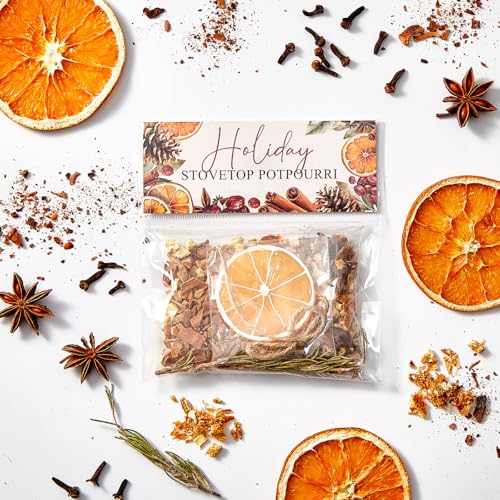 6 Pack Holiday Simmer Pot Kit - Natural Christmas Potpourri Gift Set