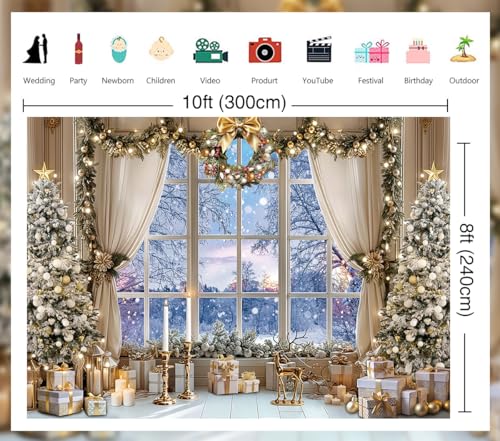 JSHENGZHYI 10x8FT Christmas Window Backdrop White Winter Snow Forest Scene Photo Background