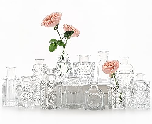12-Piece Clear Glass Bud Vase Set - Vintage Mini Flower Vases for Centerpieces