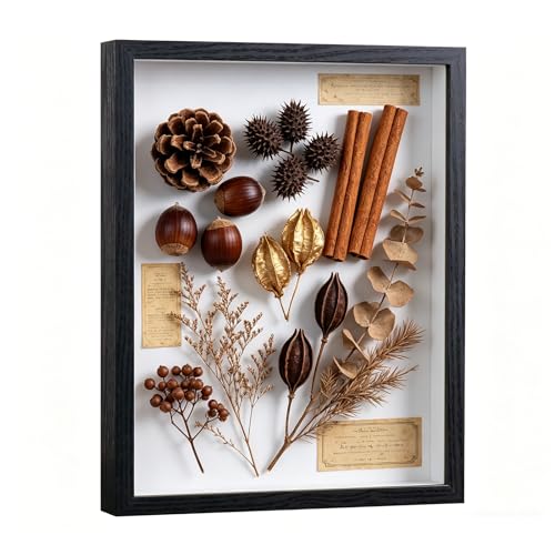 11x14 Shadow Box Frame - Deep 3D Display Case for Medals, Flowers & Photos