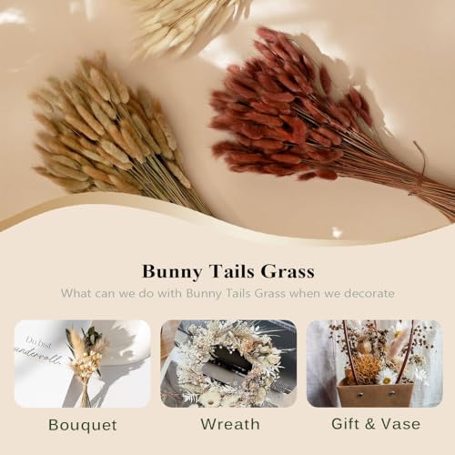 100pcs Dried Bunny Tail Grass Stems - 17 Inch Burnt Orange Boho Decor