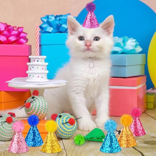10 Pack Mini Party Hats for Stuffed Animals and Pets