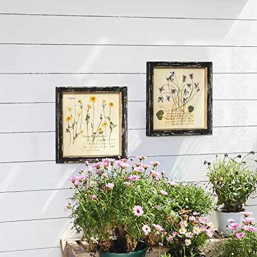 NIKKY HOME Vintage Botanical Wall Art Set of 4 - 10x10 Inch Floral Prints for Living Room Bedroom Bathroom