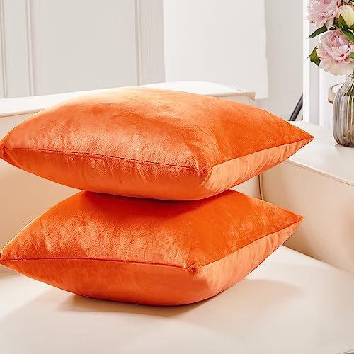 Deconovo Decorative Velvet Throw Pillow Covers for Sofa Couch 20x20 in, Fall Soft Square Cushion Cases for Living Room Decor Bedroom, Set of 2, Orange