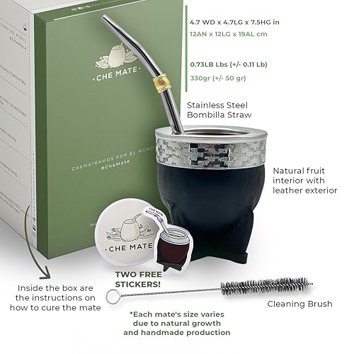 Argentina-Uruguay Yerba Mate Cup and Bombilla Set | Organic Gourd Tea Mug with Steel Straw & Cleaning Brush