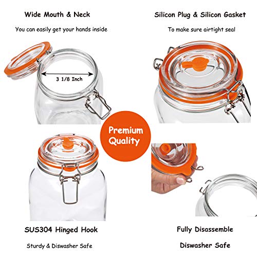 Glass Fermentation Jar Kit 1.5L 2 Pack with Airlock and Weights