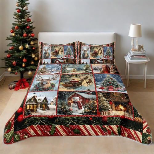 ITFRO Retro Christmas Queen Quilt Set Snow Scene Holiday Bedding with Pillow Shams