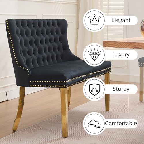 Black Velvet Dining Bench with Back & Gold Stainless Steel Legs - Shenyon, Tufted Banquette Seating, Modern Home Decor