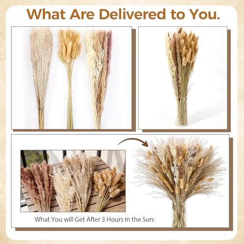 100 Pcs Natural Dried Pampas Grass Bouquet - 17 Inch Boho Home Decor
