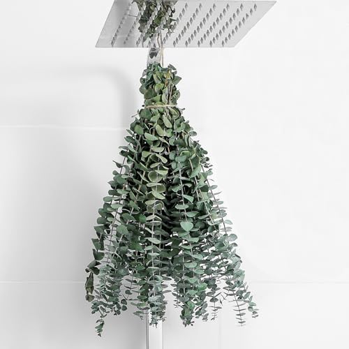10 Pcs Natural Dried Eucalyptus Stems - 17 Inch Branches for Shower