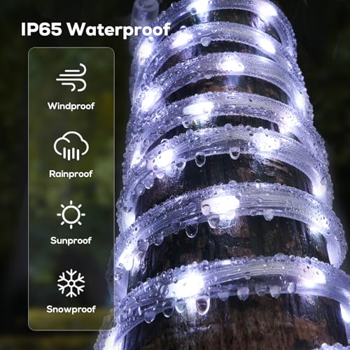 100ft LED Rope Lights, Waterproof Outdoor Fairy Lighting with Remote & Timer