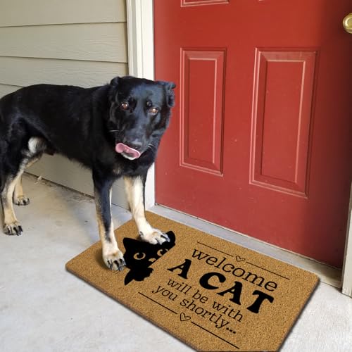 ShowDraven Funny Cat Door Welcome Mat - Outside Indoor Entrance, Black Kitten, 30x17 Inch, Cat2