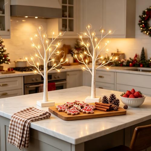 2-Pack 2ft Pre-Lit Birch Trees with Warm White LEDs - Tabletop Decor