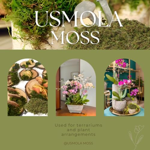 Artificial Green Moss for Potted Plants & DIY Crafts - 4 oz Faux Moss