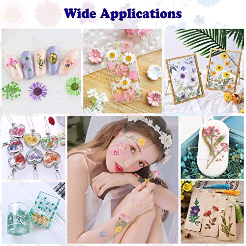 92 Pcs Natural Purple Dried Pressed Flowers for Resin, Candles, and Nail Art