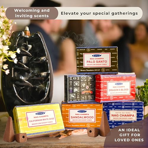 Backflow Incense Cones Variety Pack - 60 Natural Fragrant Cones with Mat